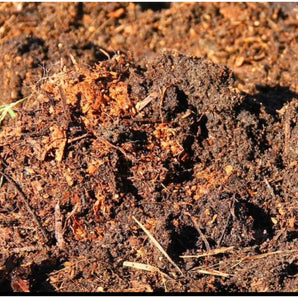 WELL ROTTEN MANURE LOOSE LOAD Per Tonne