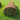PREMIUM TURF 1m2 Roll